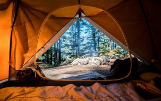 Inside tent looking out