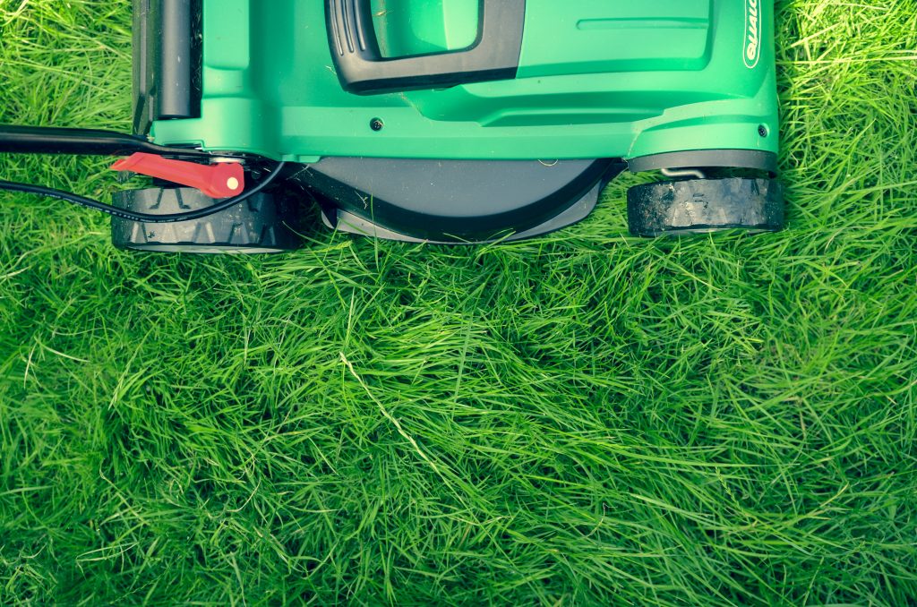 Getting Your Lawn Ready for Fall