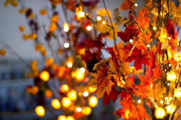 LED lights decorated on fall leaves
