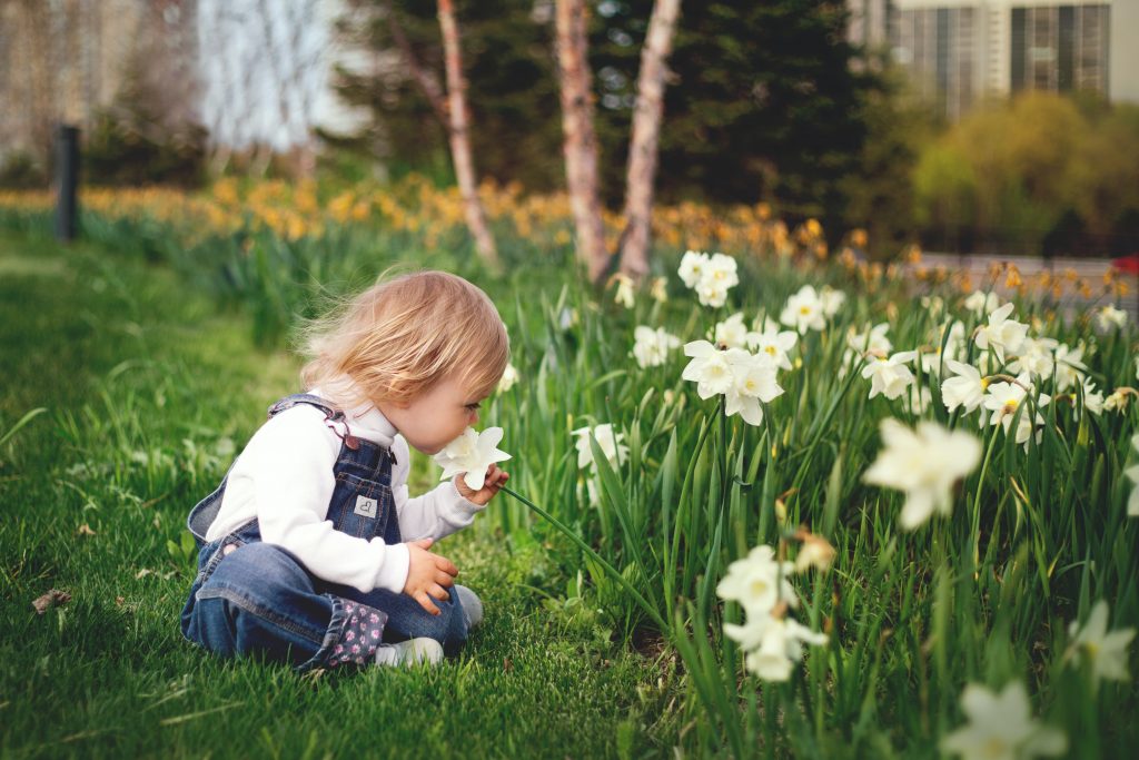Keeping Your Lawn Show Home Green