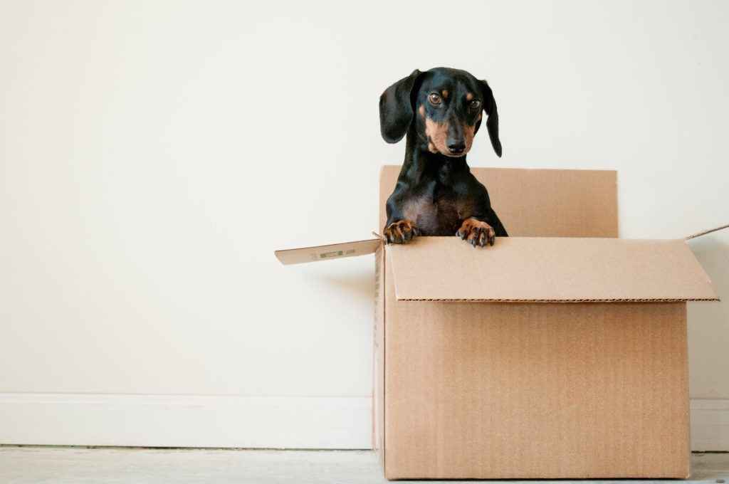 Make Your Move Simple and Successful With a Moving Checklist