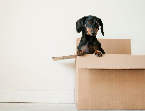Make Your Move Simple and Successful With a Moving Checklist