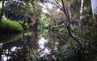 self-storage-worongary